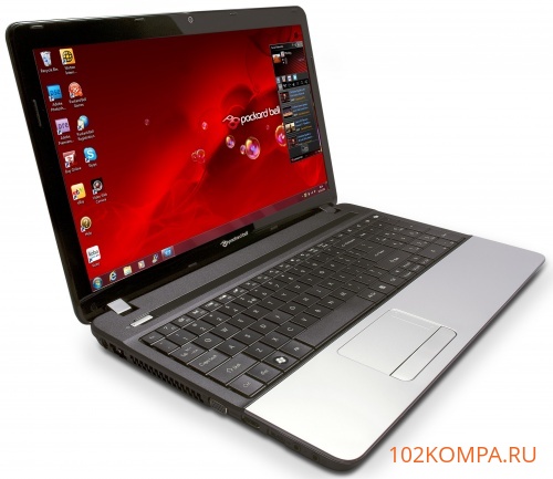 Корпус для ноутбука Acer Aspire E1-531, E1-551, E1-571, Packard Bell TE11HC (Q5WPH, Q5WTC)